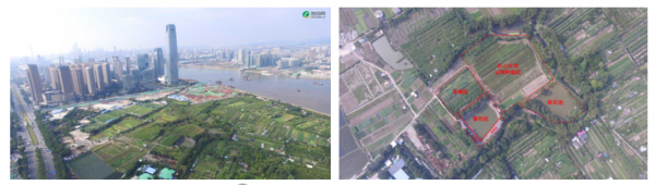 1552291548305039.png 图片4.png