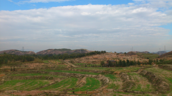 1556184786162925.png 图片1.png