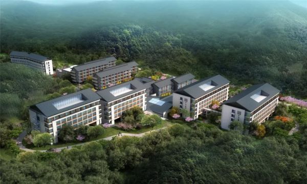 1576484191275715.jpeg 2.jpeg