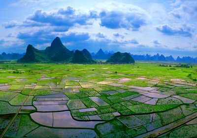 1576744326389875.jpg 农田新新.jpg