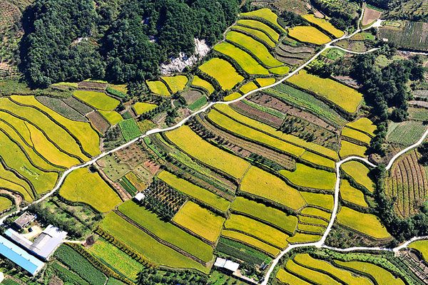 1576744351967135.jpg 农田新新新新.jpg