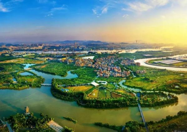 1577084527294401.jpeg 东莞.jpeg