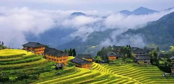 1584426761626551.png image.png